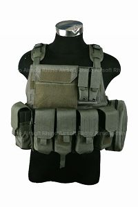 Pantac MOLLE Style PC Plate Carrier  (Medium / RG / Cordura)